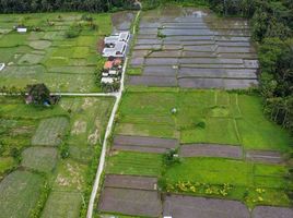  Grundstück zu verkaufen in Gianyar, Bali, Blahbatu, Gianyar