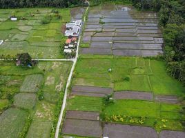  Land for sale in Blahbatu, Gianyar, Blahbatu