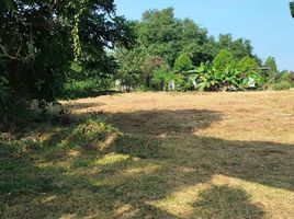  Land for sale in Kut Lo, Kaset Sombun, Kut Lo