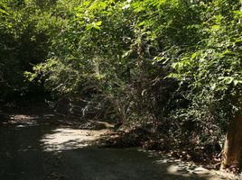  Grundstück zu verkaufen in Koh Samui, Surat Thani, Maret