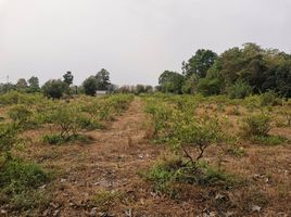  Land for sale in Udon Thani International Airport, Na Di, Na Di