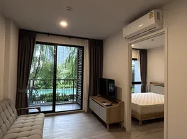 1 Schlafzimmer Wohnung zu vermieten im Dolce Lasalle, Bang Na, Bang Na, Bangkok