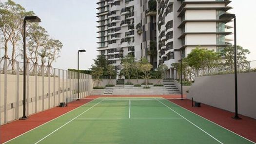 Фото 1 of the Tennisplatz at The Pano Rama3