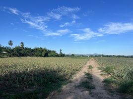  Grundstück zu verkaufen in Pran Buri, Prachuap Khiri Khan, Wang Phong