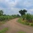  Land for sale in Chakkarat, Nakhon Ratchasima, Si Lako, Chakkarat