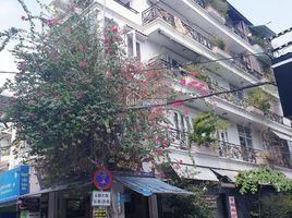 Studio Haus zu verkaufen in Tan Binh, Ho Chi Minh City, Ward 1
