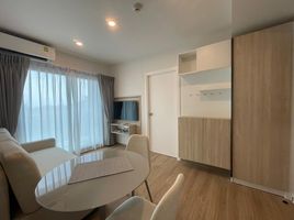 1 Bedroom Condo for rent at Phyll Phuket by Central Pattana, Wichit