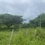  Land for sale in Makro Hangdong, Mae Hia, Mae Hia