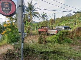  Grundstück zu verkaufen in Phuket Town, Phuket, Chalong