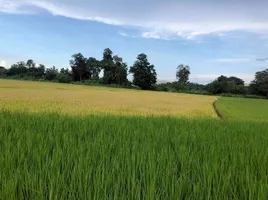  Grundstück zu verkaufen in Mae Rim, Chiang Mai, Khi Lek, Mae Rim
