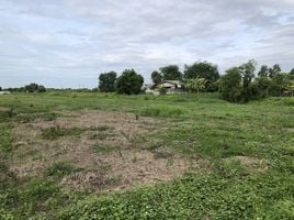  Land for sale in Bangkok, Nong Chok, Nong Chok, Bangkok