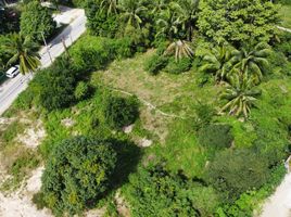  Land for sale in Surat Thani, Maenam, Koh Samui, Surat Thani