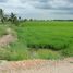  Land for sale in Nakhon Pathom, Bang Pla, Bang Len, Nakhon Pathom