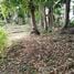  Land for sale in Thalang, Phuket, Choeng Thale, Thalang