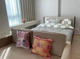 1 Bedroom Condo for rent at Noble Revolve Ratchada 2, Huai Khwang, Huai Khwang, Bangkok, Thailand