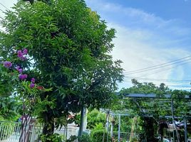 4 Schlafzimmer Villa zu verkaufen im Baan Sinpetch, Bang Rak Phatthana