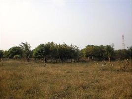  Grundstück zu verkaufen in Kancheepuram, Tamil Nadu, Chengalpattu