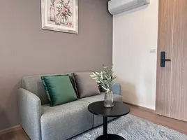 1 Schlafzimmer Wohnung zu vermieten im THE BASE Bukit, Wichit, Phuket Town