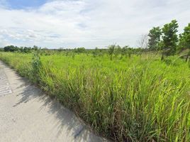  Grundstück zu verkaufen in Si Racha, Chon Buri, Bueng