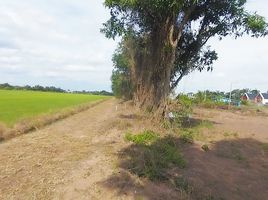  Land for sale in Bueng Bon, Nong Suea, Bueng Bon