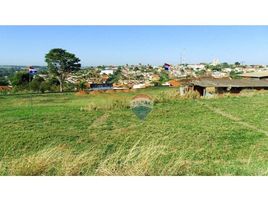  Land for sale in Parana, Jandaia Do Sul, Jandaia Do Sul, Parana