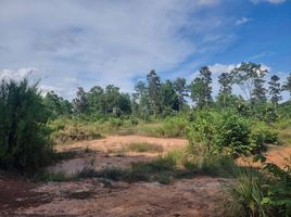  Grundstück zu verkaufen in Phibun Mangsahan, Ubon Ratchathani, Kut Chomphu