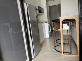 Studio Apartment for rent at Maestro 02 Ruamrudee, Lumphini
