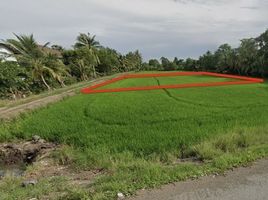  Land for sale in Ongkharak, Nakhon Nayok, Phra Achan, Ongkharak