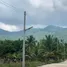  Grundstück zu verkaufen in Koh Phangan, Surat Thani, Koh Phangan
