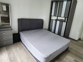 Studio Apartment for rent at The Reef, Lapu-Lapu City, Cebu