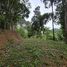  Land for sale in Ao Nang, Krabi, Ao Nang, Mueang Krabi