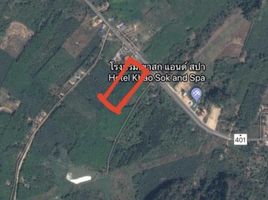  Land for sale in Phanom, Surat Thani, Khlong Sok, Phanom