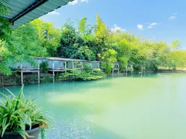  Land for sale in Mae Kasa, Tak, Mae Kasa, Mae Sot, Tak