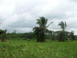  Land for sale in Bolivar, Muisne, Bolivar