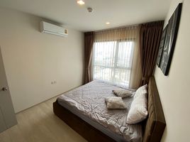 2 Bedroom Apartment for sale at Life Sukhumvit 48, Phra Khanong, Khlong Toei