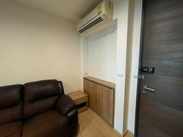 1 Schlafzimmer Appartement zu vermieten im Rhythm Sukhumvit 50, Phra Khanong