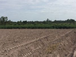  Land for sale in Phetchaburi, Khao Krapuk, Tha Yang, Phetchaburi