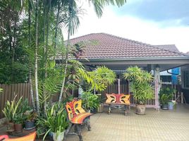 3 Bedroom Villa for sale in Ban Du, Mueang Chiang Rai, Ban Du