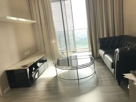 1 Bedroom Condo for rent at 333 Riverside, Bang Sue