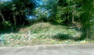 N/A Land for sale in Thep Krasattri, Phuket 