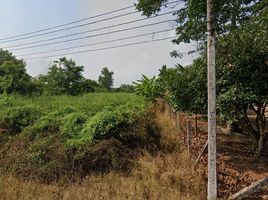  Grundstück zu verkaufen in Ban Khai, Rayong, Ta Khan