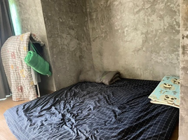 3 Schlafzimmer Haus zu verkaufen in Hat Yai, Songkhla, Kho Hong, Hat Yai