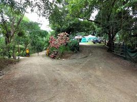  Land for sale in Guanacaste, Nicoya, Guanacaste