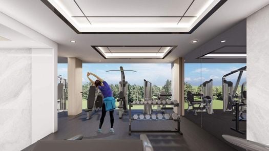 Photos 2 of the Communal Gym at Omis Condominuim