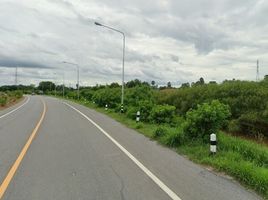  Land for sale in Talat Kruat, Mueang Ang Thong, Talat Kruat
