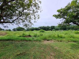  Land for sale at Palm Hills Golf Club and Residence, Cha-Am, Cha-Am, Phetchaburi