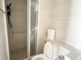 คอนโด 1 ห้องนอน ให้เช่า ในโครงการ ฟีล ภูเก็ต บาย เซนทรัล พัฒนา, วิชิต