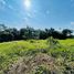  Land for sale in Chiang Mai, San Sai Luang, San Sai, Chiang Mai