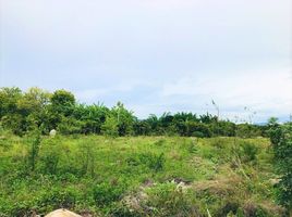  Land for sale in Kanchanaburi, Wang Dong, Mueang Kanchanaburi, Kanchanaburi