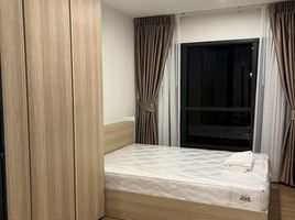 1 Bedroom Apartment for rent at The Line Vibe, Chomphon